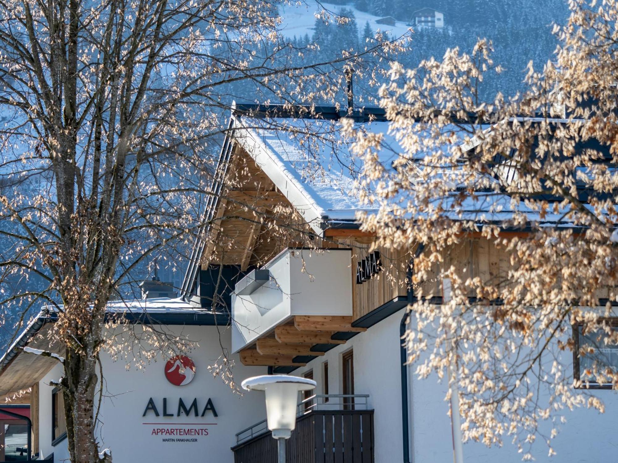 Appartements Alma Mayrhofen Exterior foto